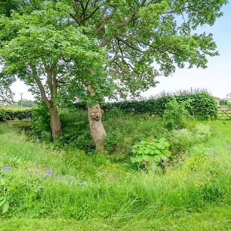 7 Bed In Langbar Oc-d34075 * Leeds (West Yorkshire)